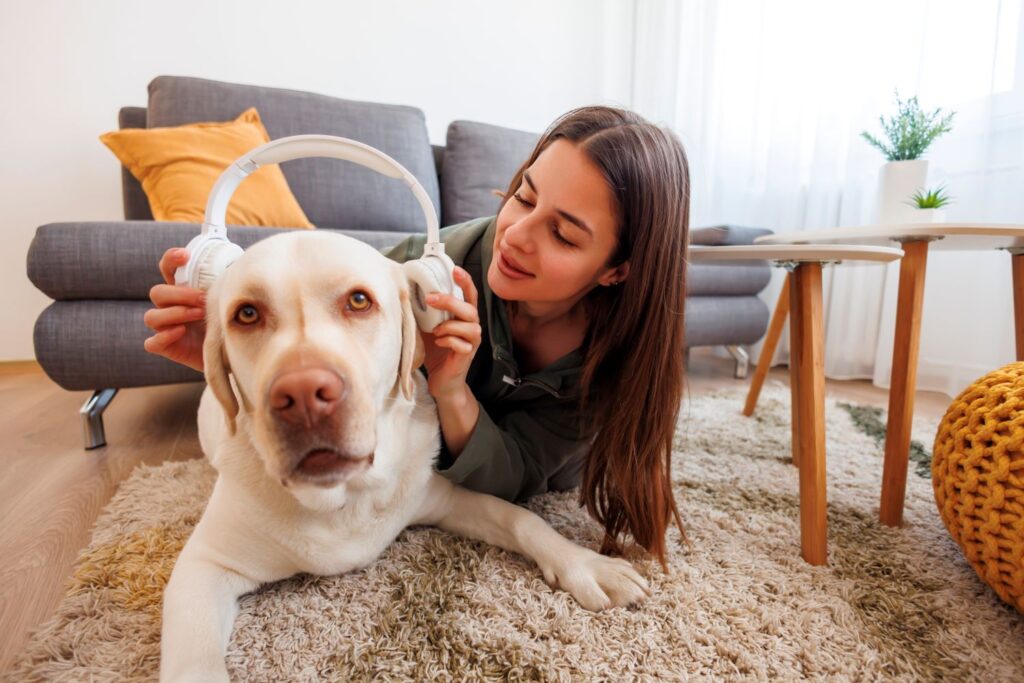 Keeping pets at home
