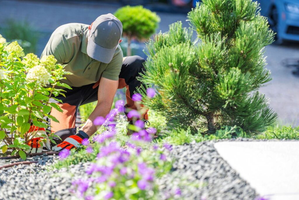 Landscaping the front garden