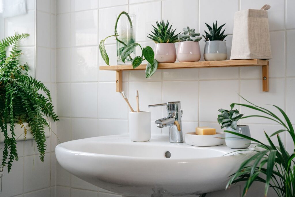 Plants grown in the bathroom